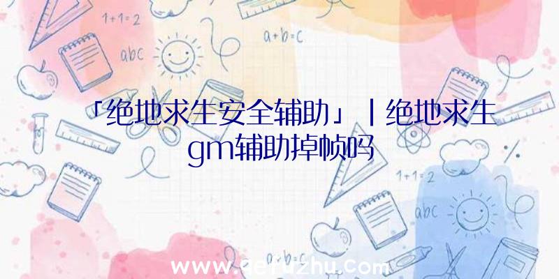 「绝地求生安全辅助」|绝地求生gm辅助掉帧吗